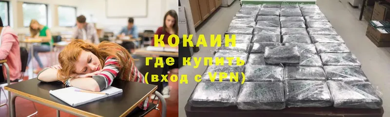 COCAIN Fish Scale Зубцов